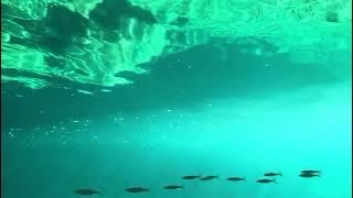 水中映像 奈良県 天河村